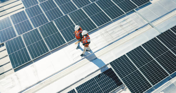 Best Roof Moss and Algae Removal  in Elverson, PA