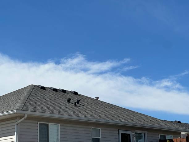 Best 4 Ply Roofing  in Elverson, PA